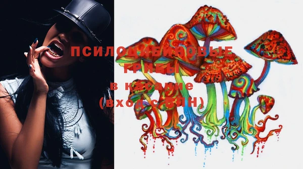 мескалин Протвино