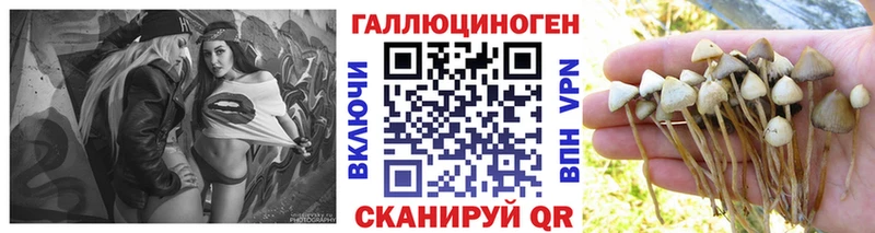 Псилоцибиновые грибы ЛСД  Зубцов 