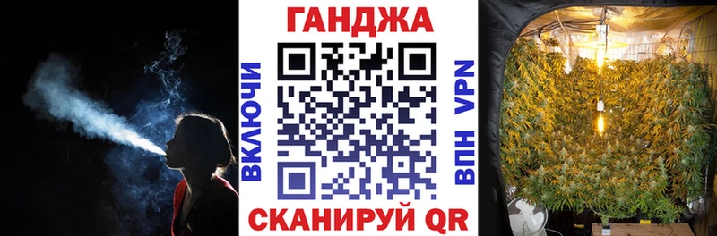 продажа наркотиков  hydra зеркало  Шишки марихуана сатива  Зубцов 